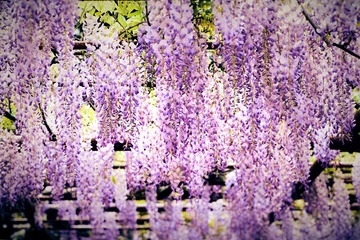 91722AAD-E6F0-4419-86C0-58F865095F46/L0/001