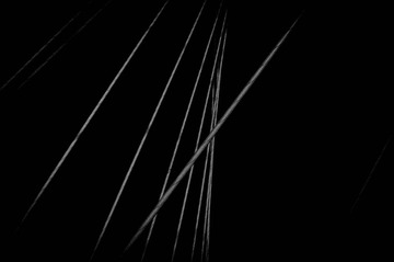 _DSC0565
