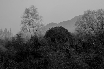 _DSC0413