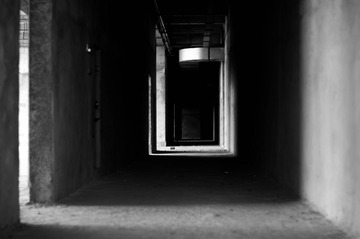 _DSC0233