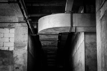 _DSC0259