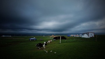 DSC02895_