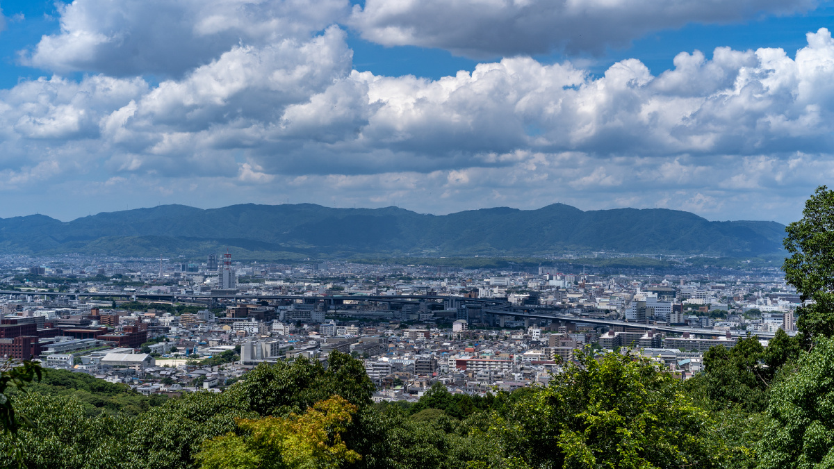 伏见稲荷大社99稲荷山99日常