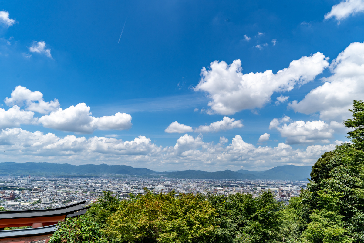伏见稲荷大社99稲荷山99日常