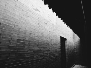 IMG_0226_x