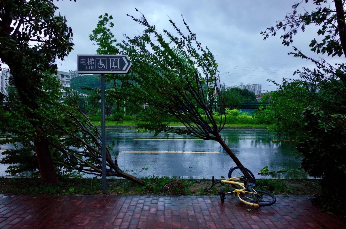 台风后的深圳
