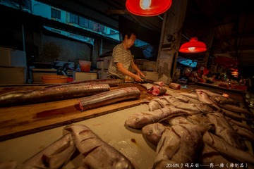 YT0_7366