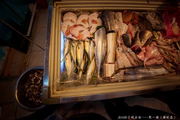 YT0_7379