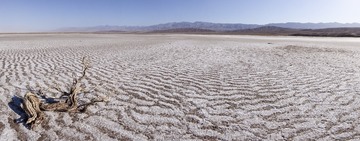 DJI_0278-8