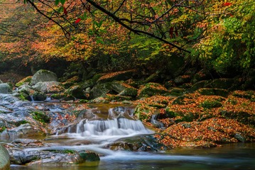 光雾山流水6