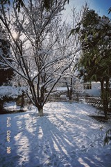 CBCD88F5-045C-48F9-8DA5-36AD4AA8A404/L0/001