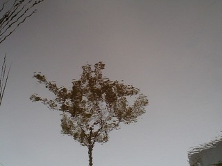 PICT0161.JPG