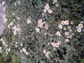 PICT0170.JPG