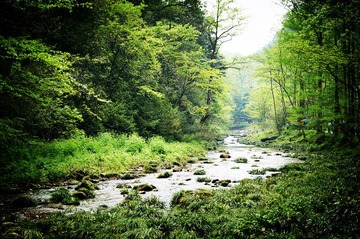 DSC00677_