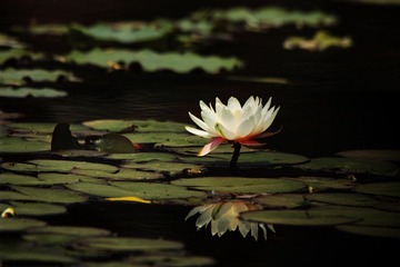 IMG_8671.jpg