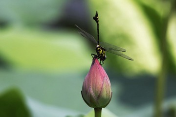 IMG_9420.jpg