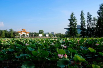_MG_5882去