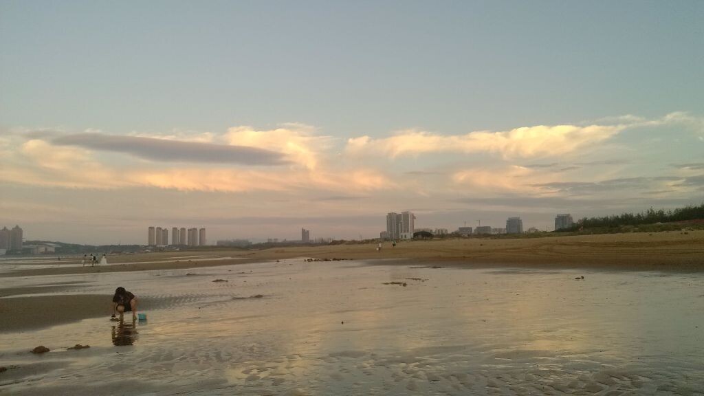 海