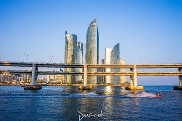 IMG_2393-编辑