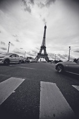 IMG_88121-3-3.jpg