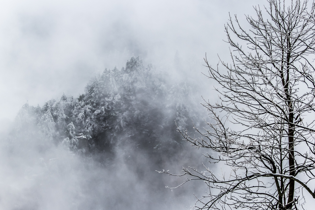 二月的张家界,山上大雾弥漫,行走了尽两个小时,眼前几乎全是白色.
