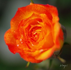 0516