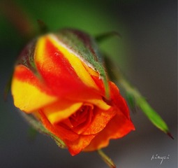 0517