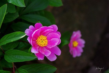 0629