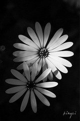 0703