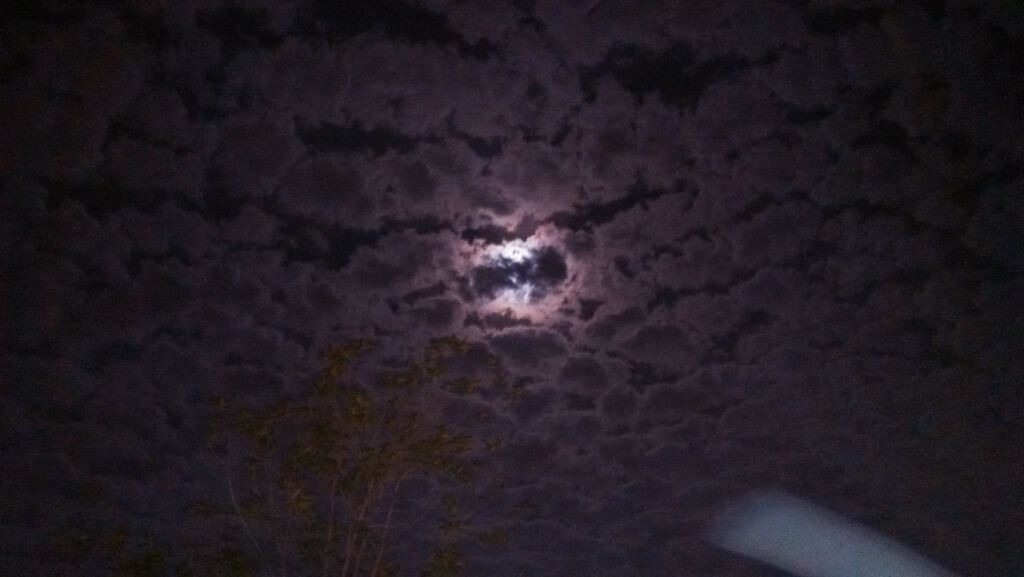 乌月