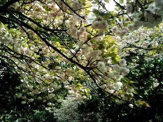 DSC01232.jpg