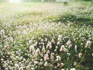 DSC02181副本_0.jpg