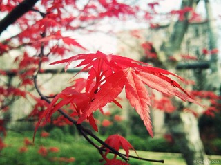 DSC02578.jpg