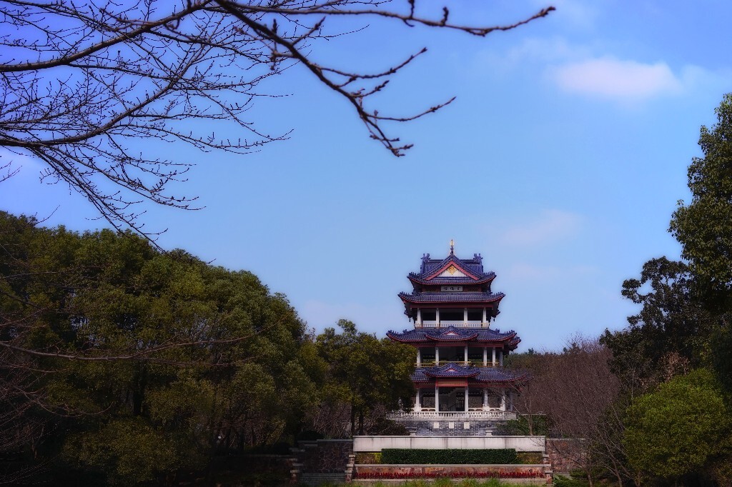 上次好不容易去趟无锡，连樱花都没赶上……光秃秃的