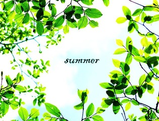 夏天