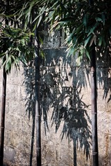 DSC05194-编辑.jpg