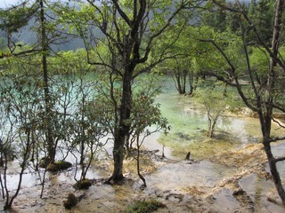 成都 875.jpg
