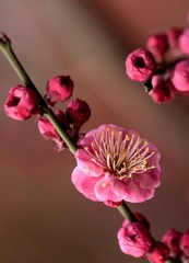 _MG_5589.0.jpg