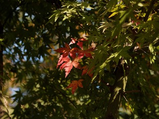 PB210016_DxO