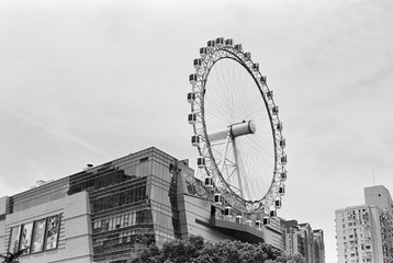 Untitled-8