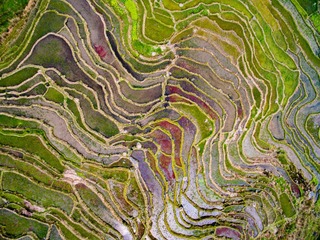 DJI_0046A