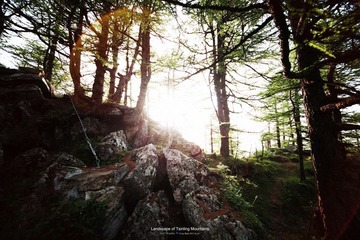  Tsinling Mountains