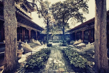 The Forbidden City