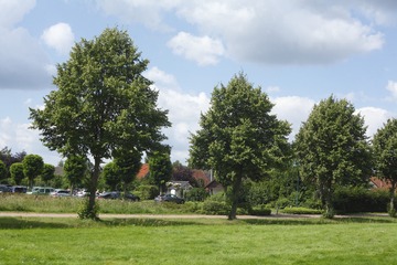 IMGP7402 