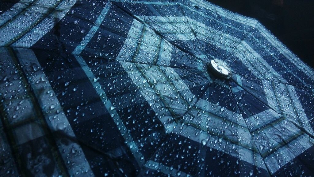 雨伞