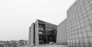_PPZ2905
