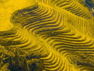 C35F7B01-36CA-45DB-A398-37587755E803/L0/001