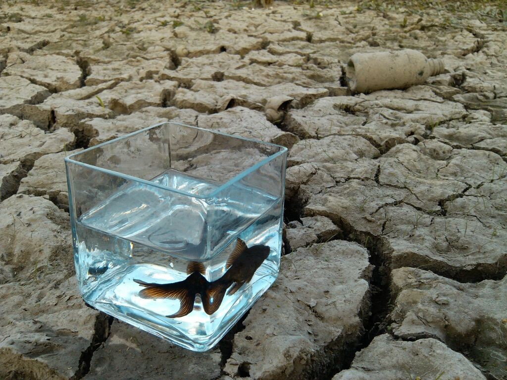 生命之水