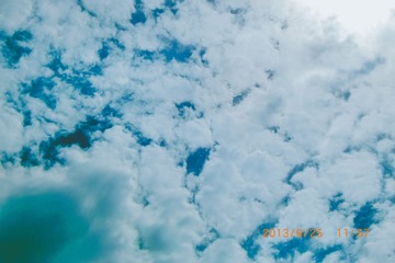 1071659
