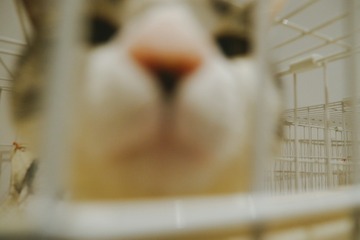 1303105